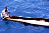 man in canoe photo