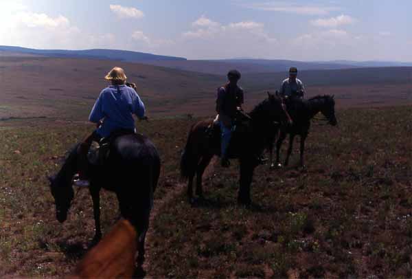 Photo of horse ride
