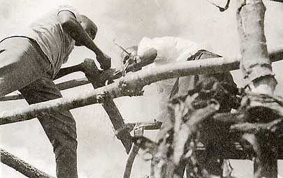 Photo of work on roof rafters