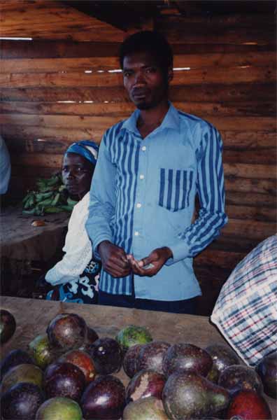 Photo of avocado stall