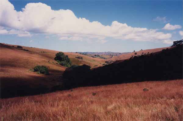 Photo of Nyika Plateau