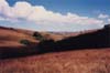 Nyika Plateau valley photo