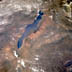 Lake Malawi from space
