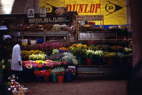 Photo of flower stall