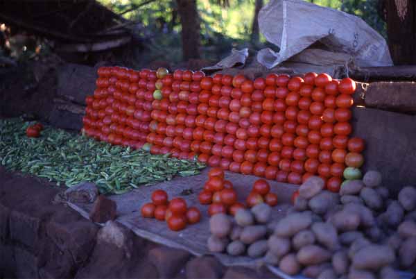 Photo of tomato stall