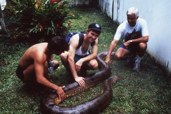 touching an anaconda photo