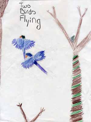 two birds flying drawing