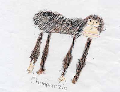 glum chimp drawing