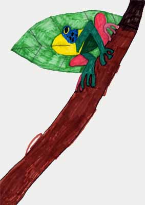 frog on branch drawing