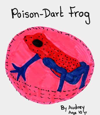 poison frog drawing
