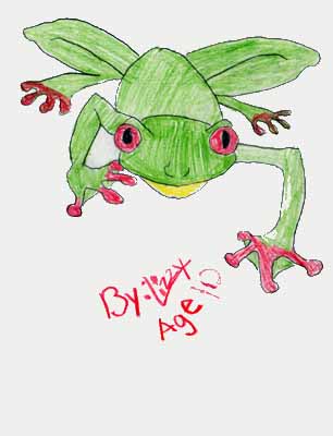 red eye tree frog drawing