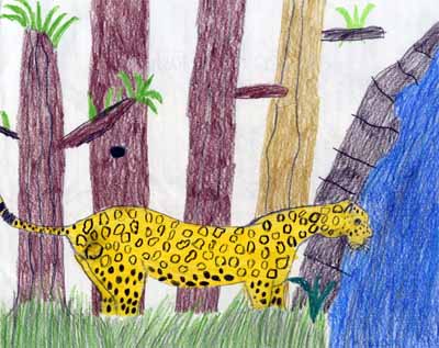 jaguar by river drawing