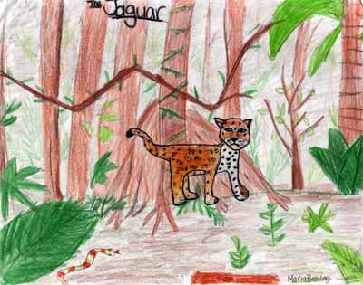 jaguar in forest drawing