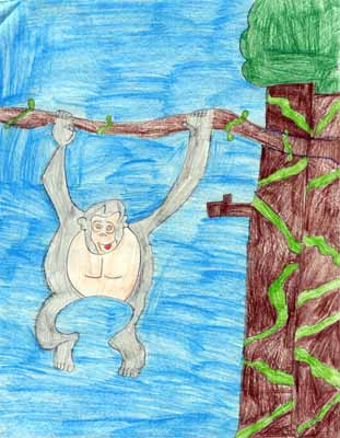 monkey swinging drawing