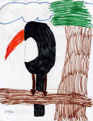 toucan on branch drawing