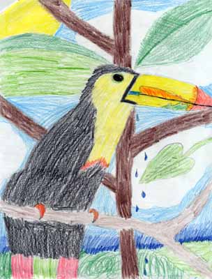 toucan in tree drawing