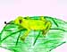 frog on leaf drawing