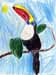 toucan on branch drawing