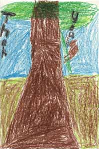 tree trunk drawing