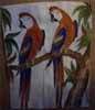 group of macaws (1)