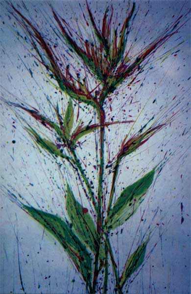 Grippa heliconia painting