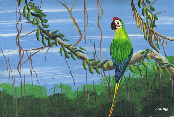 >macaw on vine postcard