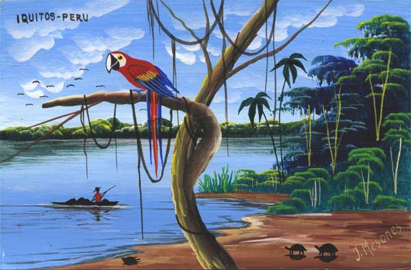 macaw with tortoises postcard