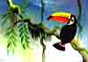 toucan on branch postcard