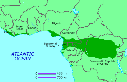 Africa rainforest map