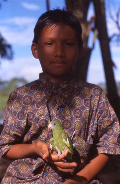 boy with parrot photo