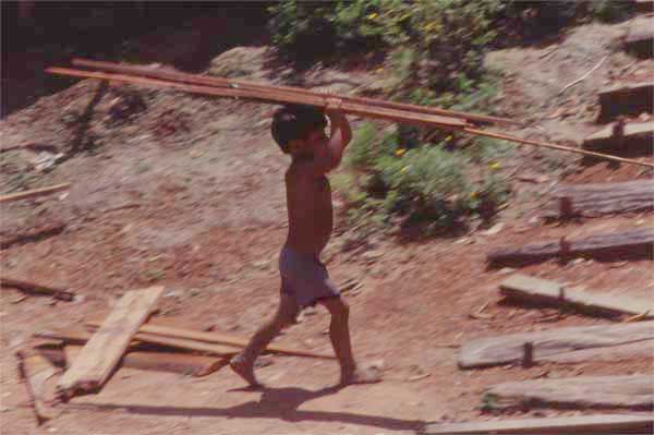 boy with plank photo