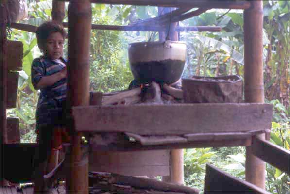 boy at home photo