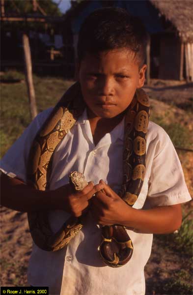 boy with snake photo