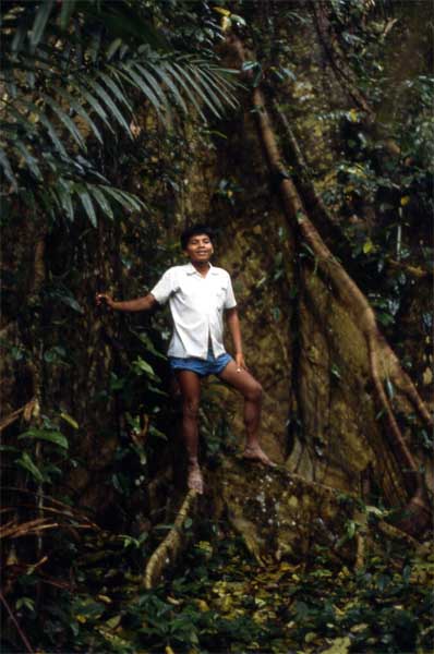 forest boy photo