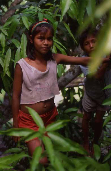 forest children photo