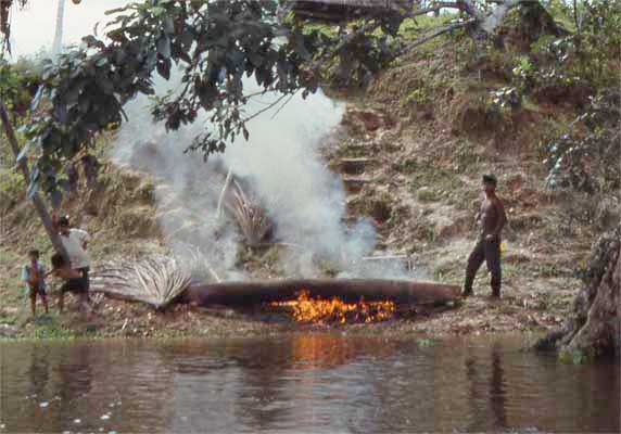 burning the canoe photo