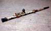 blowgun photo