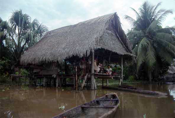 flood around hut photo