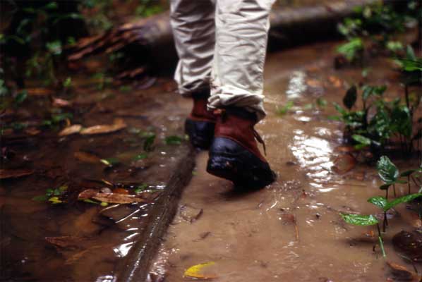 muddy boot trail photo