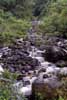 mountain stream photo