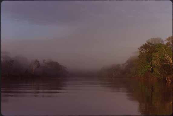 dawn on the river photo