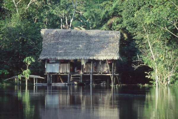 hut by the river photo