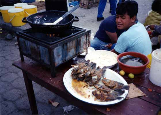 Photo of market vendor