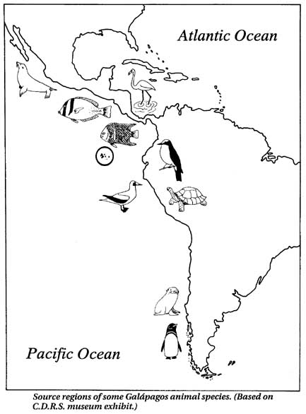 Image of Galapagos animals origins map