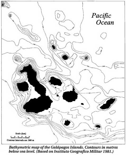 Image of Galapagos seafloor map
