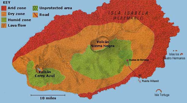 Image of Galapagos southern Isabela Island map