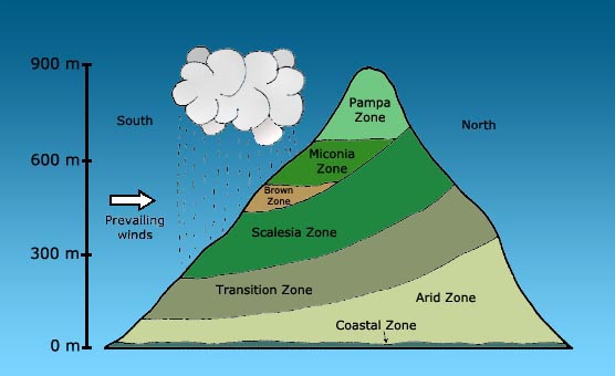 image of vegetation zones