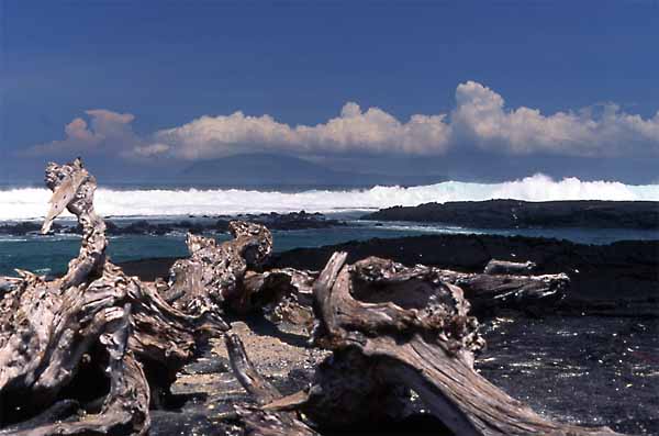 Photo of Punta Espinoza
