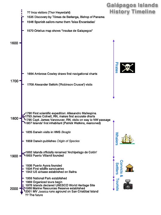 Photo of timeline