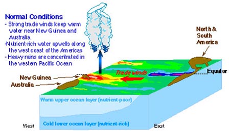 Diagram of normal compared with El Nino conditions